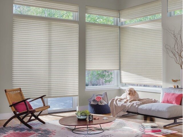 Pet-Friendly Furniture Fabrics | F & R Blinds, Inc